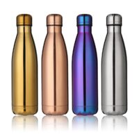 Chrome Stainless Steel Bottle
