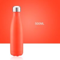 Stainless Steel Water Bottle