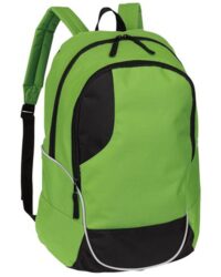 Curve Backpack