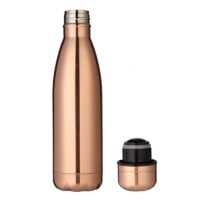 Chrome Stainless Steel Bottle