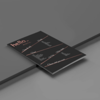 Flyers with Exclusive Foil Finishes
