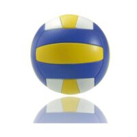 Beach Volley Ball