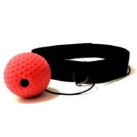 Reflex Headball Gym Training