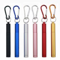 Portable Metal Straw
