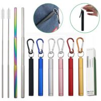 Portable Metal Straw