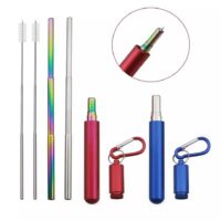Portable Metal Straw