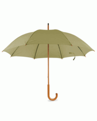 Classic Umbrella in Green