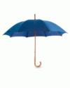 Classic Umbrella in Blue