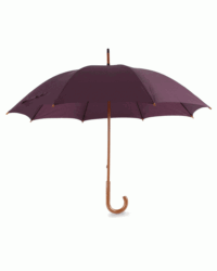 Classic Umbrella in Burgundy