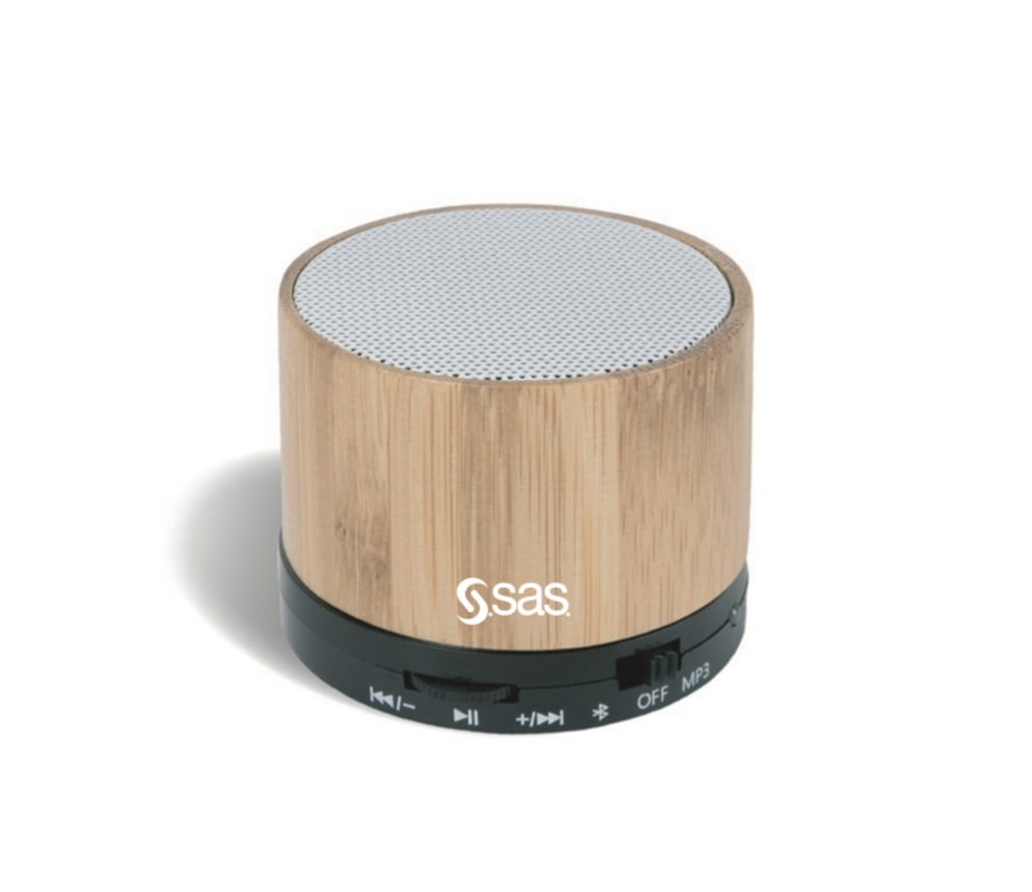 Bamboo Speaker