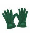 Winter Gloves Borealis