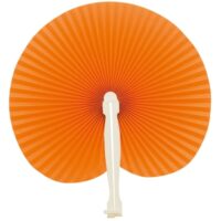 Customisable Fan