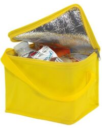 Cooler Bag for Summer
