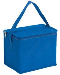 Cooler Bag for Summer