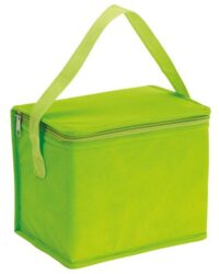 Cooler Bag for Summer