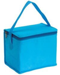Cooler Bag for Summer