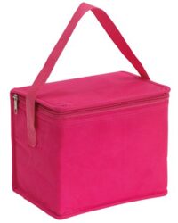 Cooler Bag for Summer