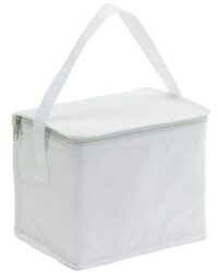 Cooler Bag for Summer