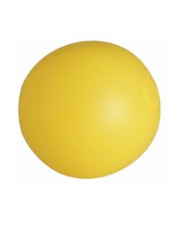 Inflatable Beach Ball