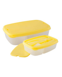 Colourful Lunch Container
