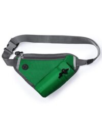 Triangle Belt Bag