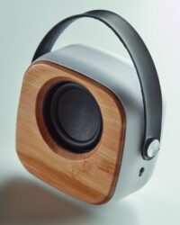 Bamboo Speaker