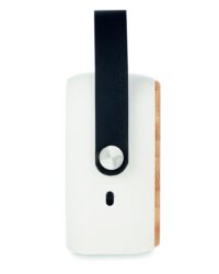 Bamboo Speaker