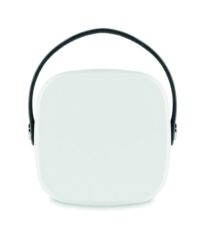 Bamboo Speaker